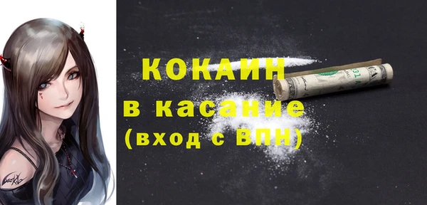 дживик Заречный